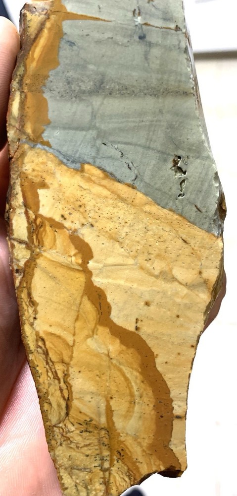 Owyhee Picture Jasper Slab