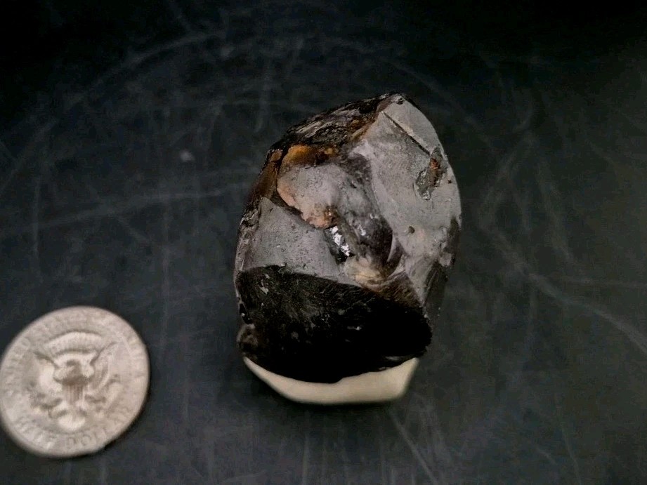 Real Fossil Dinosaur Egg Opalized