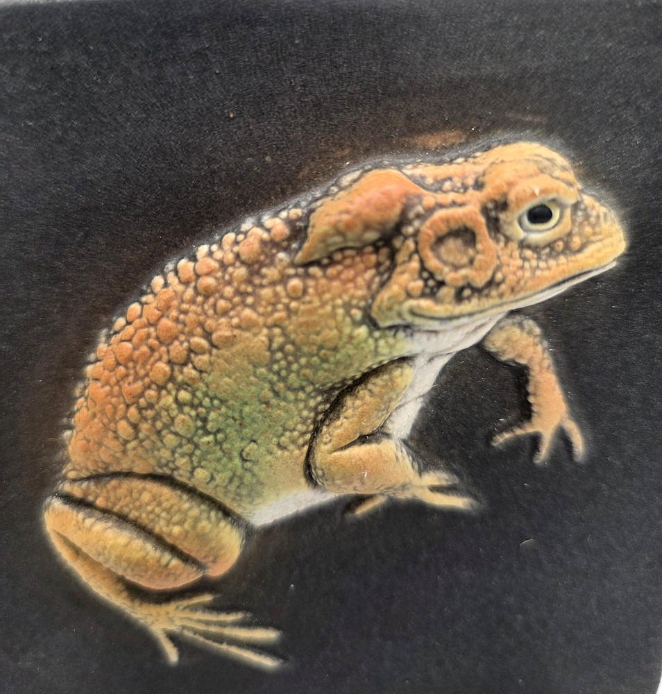 Surving Studio Hyperrealistic Ceramic Toad Tile, Circa 2004