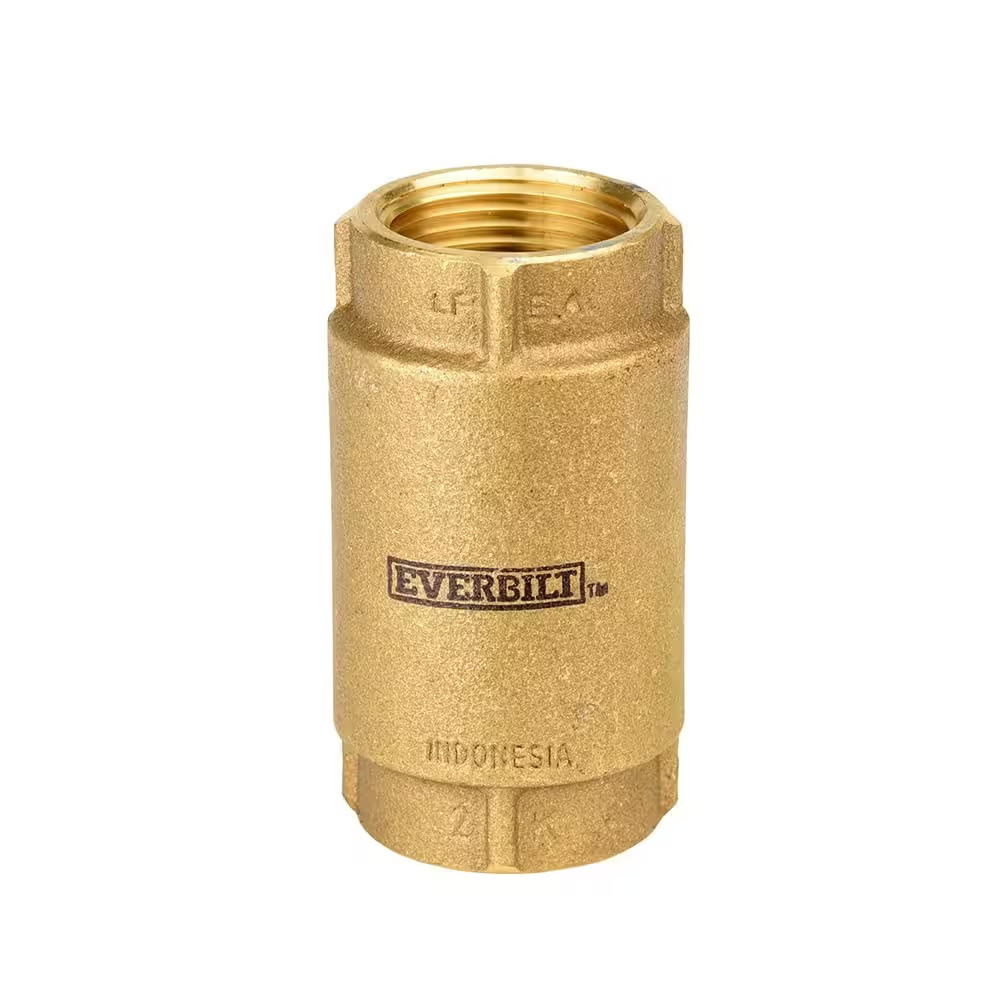 1 In. Brass Check Valve