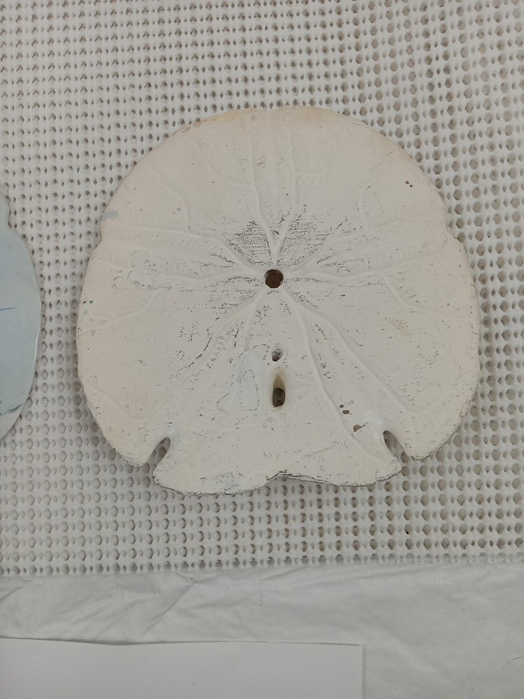 Large Painted Sanddollar