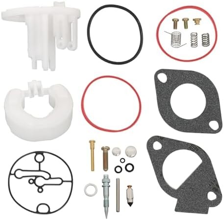 Carburetor repair kit for small engine