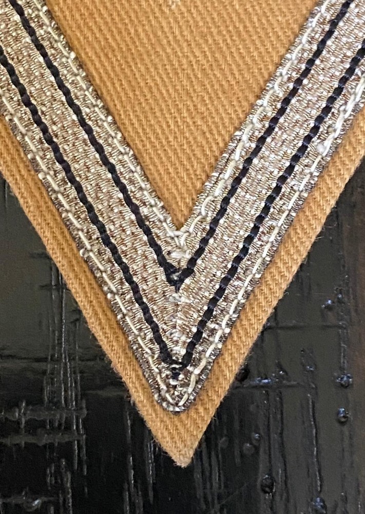 WW2 German ELITE OLD GUARD, HONOUR CHEVRON MINT
