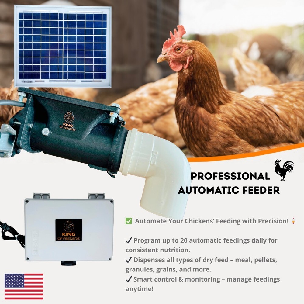 Solar Automatic Feeder, Food Dispenser for for Chickens