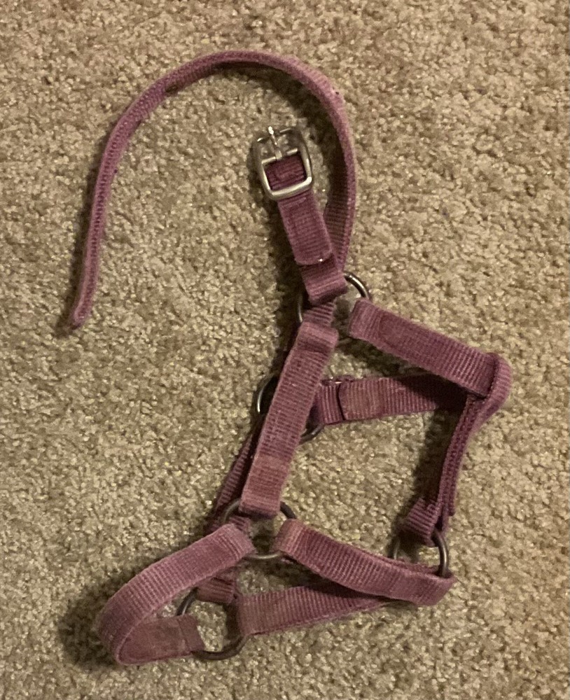 Nylon Weanling Halter