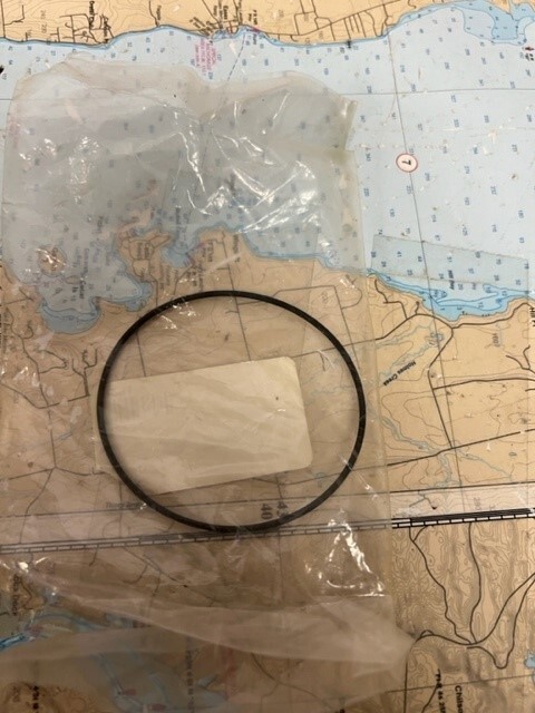 Sherwood #12231 Pump O-ring.