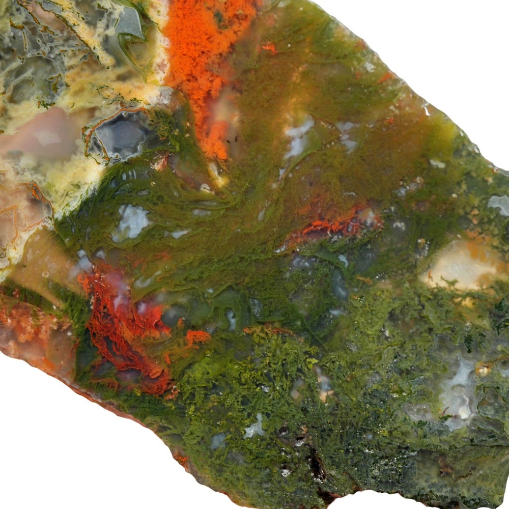 Maury Mountain Moss Agate Slab - Green and Red Moss Pattern