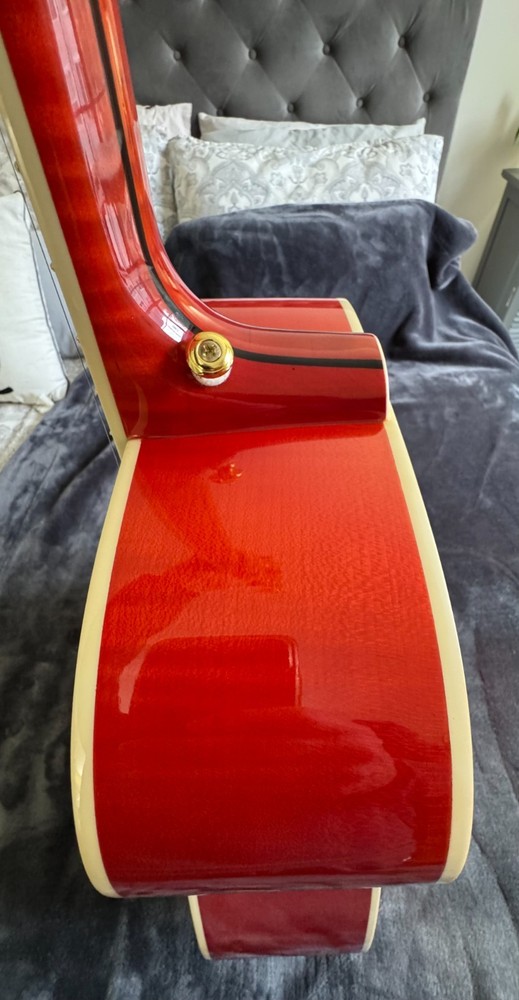 Doves in Flight Tribute Guitar