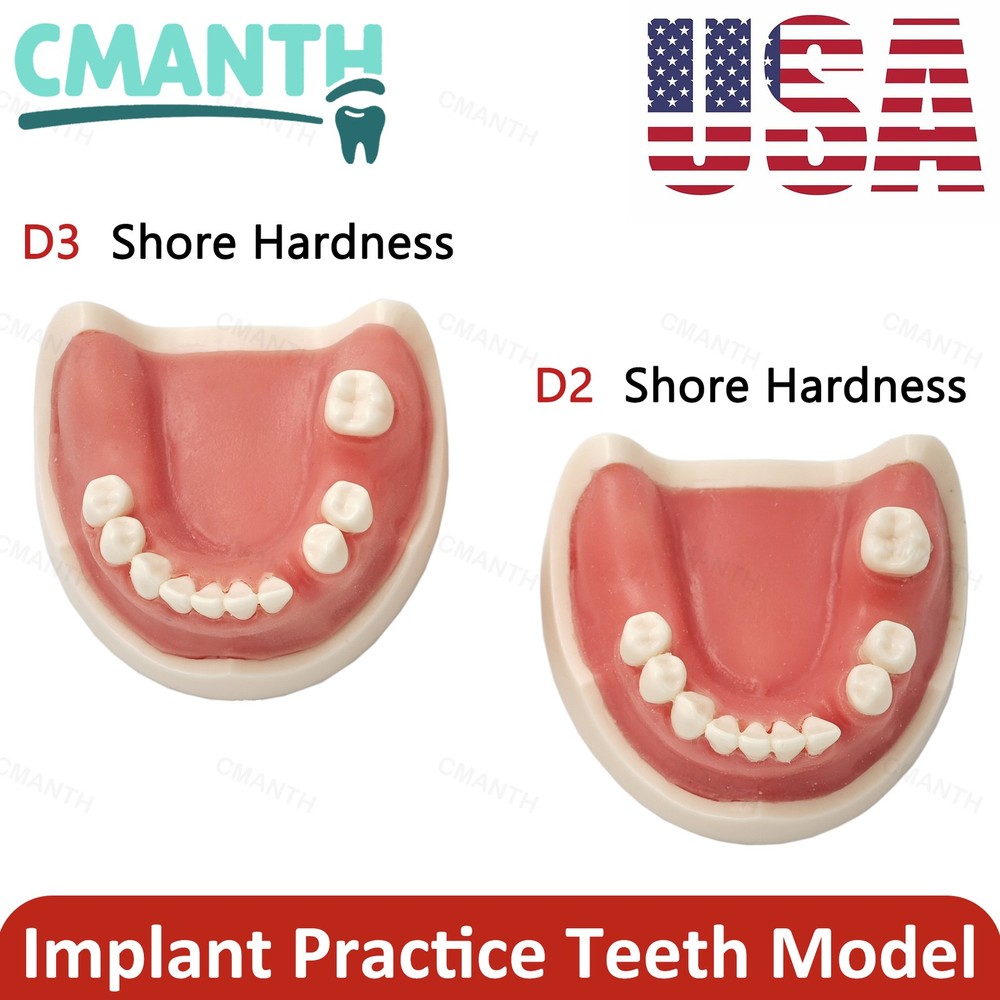 US Dental Implant Model Soft Gums Model Drilling Training Open Suture Practice