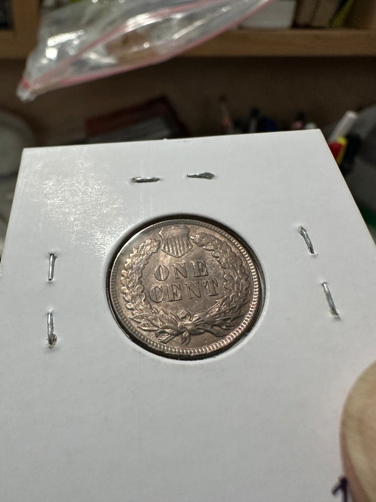 1895 indian head cent Unc. RB