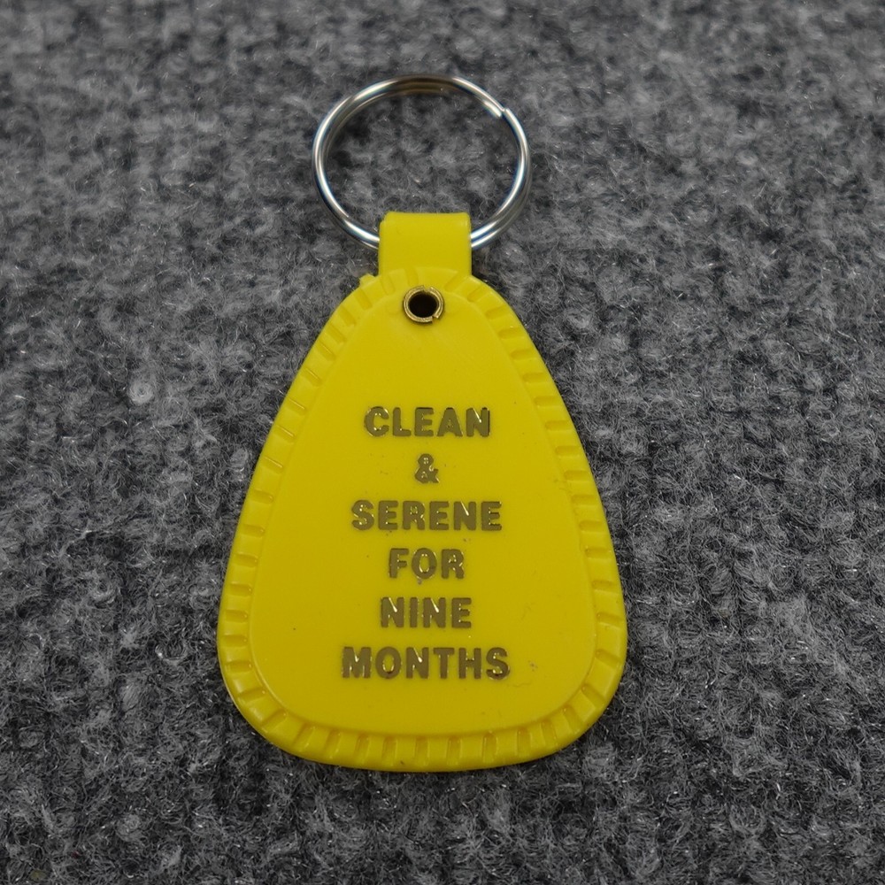 Narcotics Anonymous Key Tag Yellow 9 Months Clean Time NA Keytag Keychain JFT