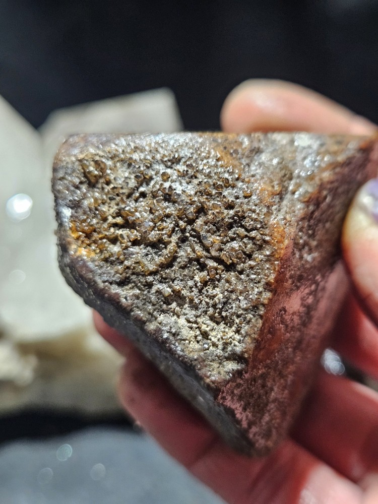 Gem Bone Multicolored Polished Specimen (8.2oz)