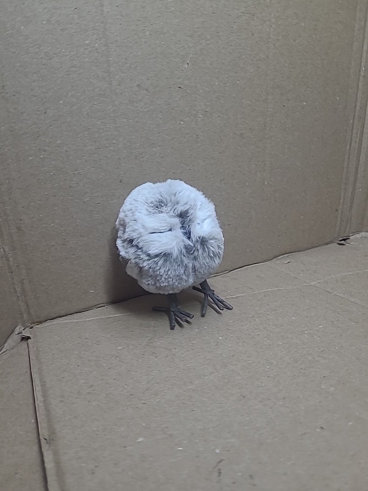 Target Spirit Bird ..small Round Light Grey