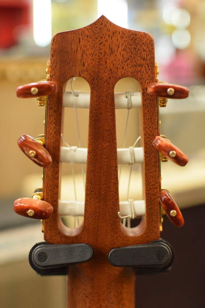 Takamine TSP148NC NS