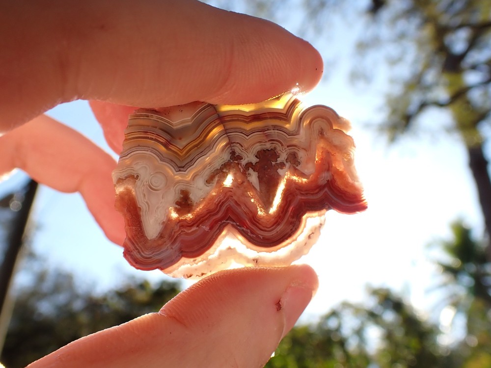 Laguna lace agate slab 14.6g