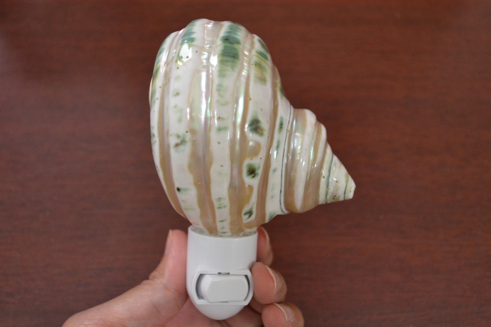 BANDED TURBO SEA SHELL NIGHT LIGHT 7968