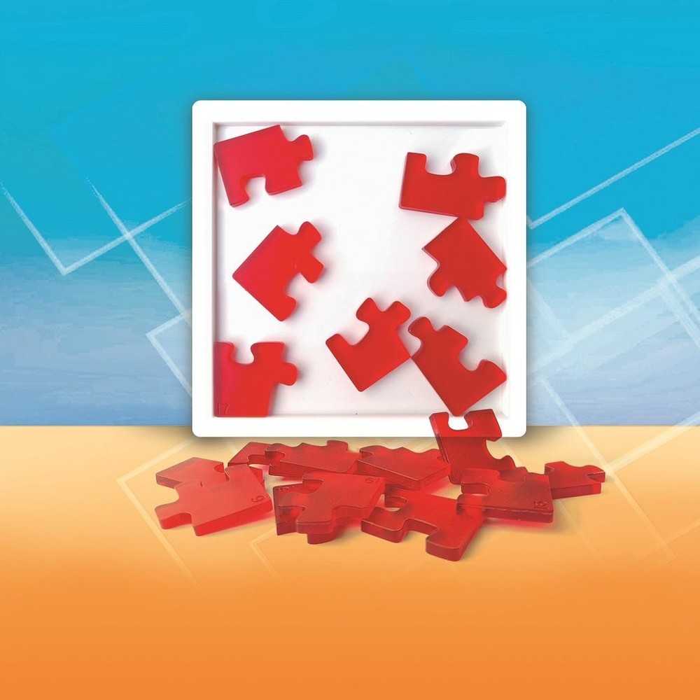 Impossible Jigsaw 19 - Hanayama Company Puzzle
