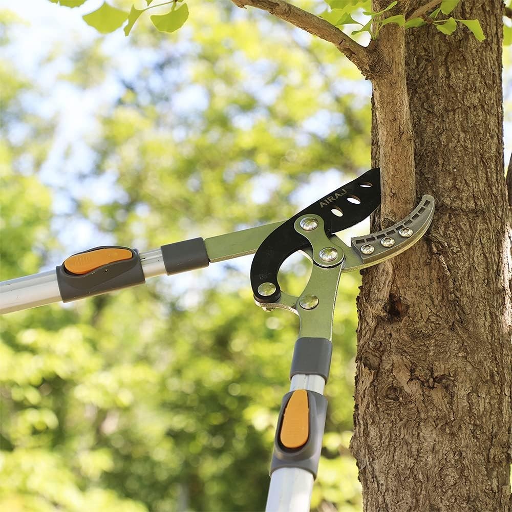 Rust-Resistant Tree Trimmer with Compound Action
