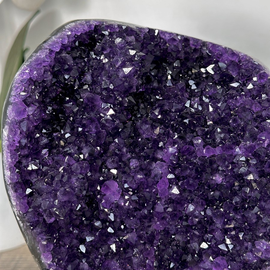 Amethyst Crystal Cluster with Deep Purple Points. MWS2693
