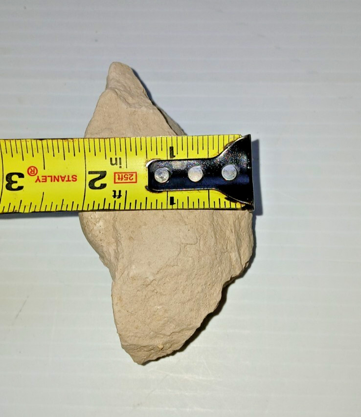 Turtle Egg Fossil?