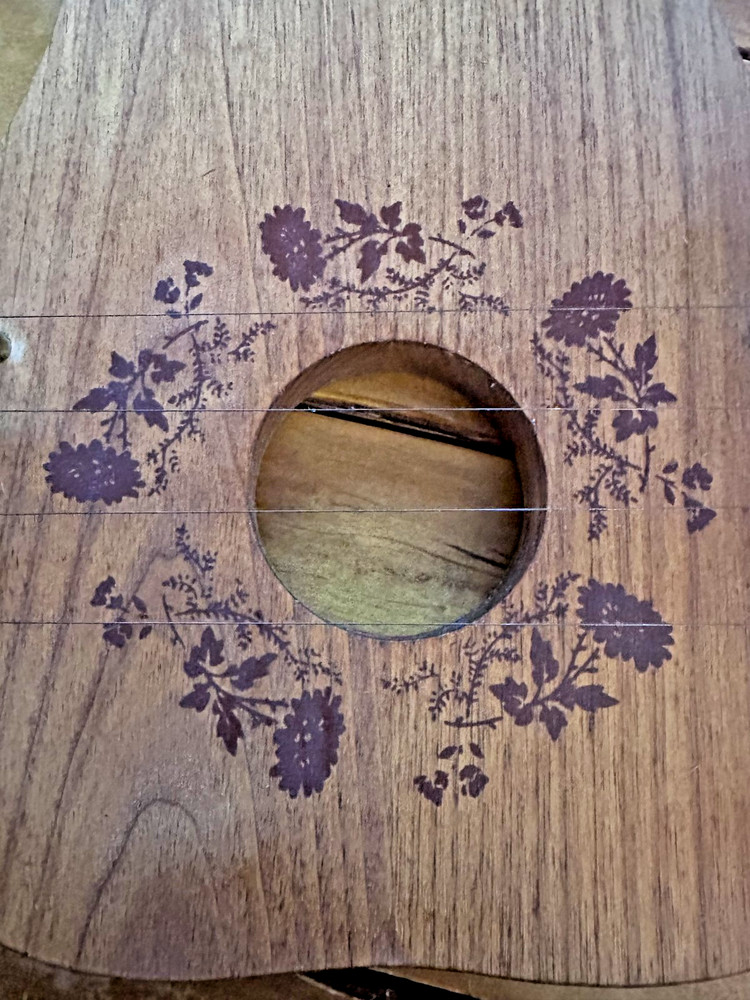 Rustic Floral Wooden String Instrument