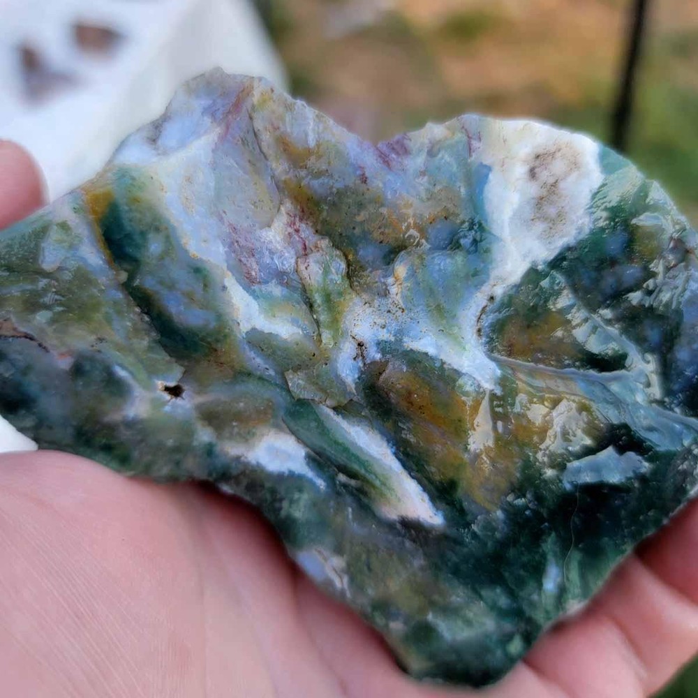 Random Pull India Tree Agate Tumbling Trimmer Rough!