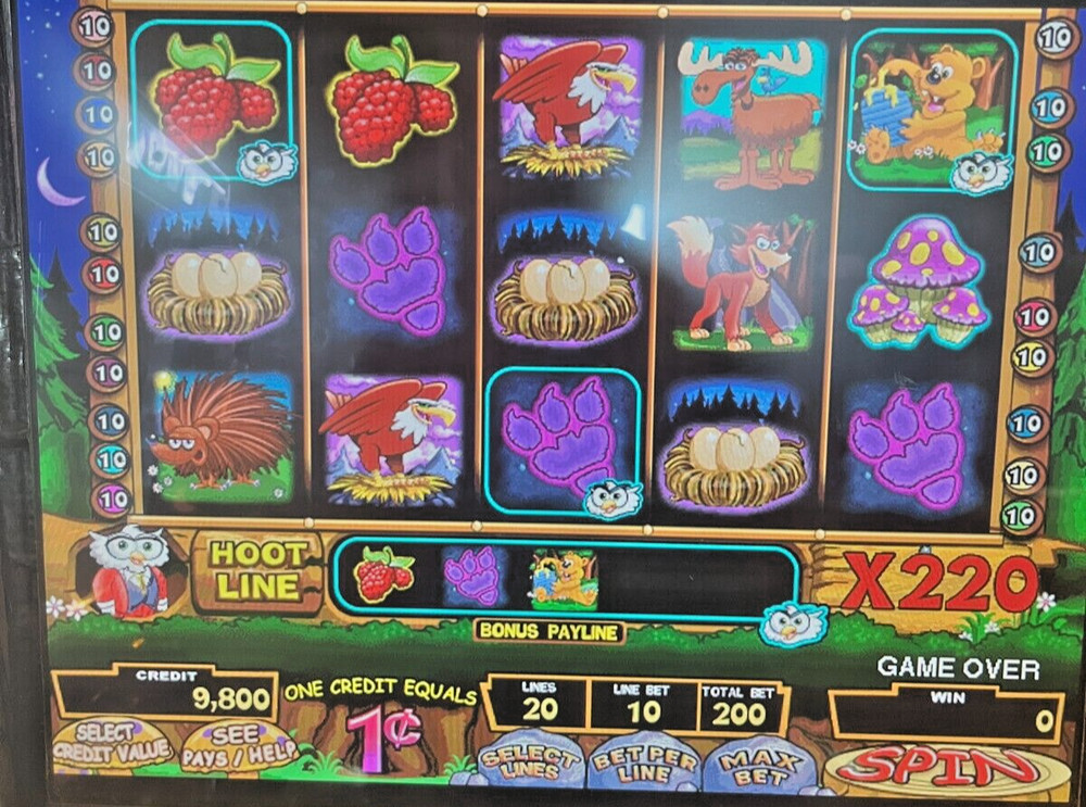 IGT I-game Hoot Loot Software