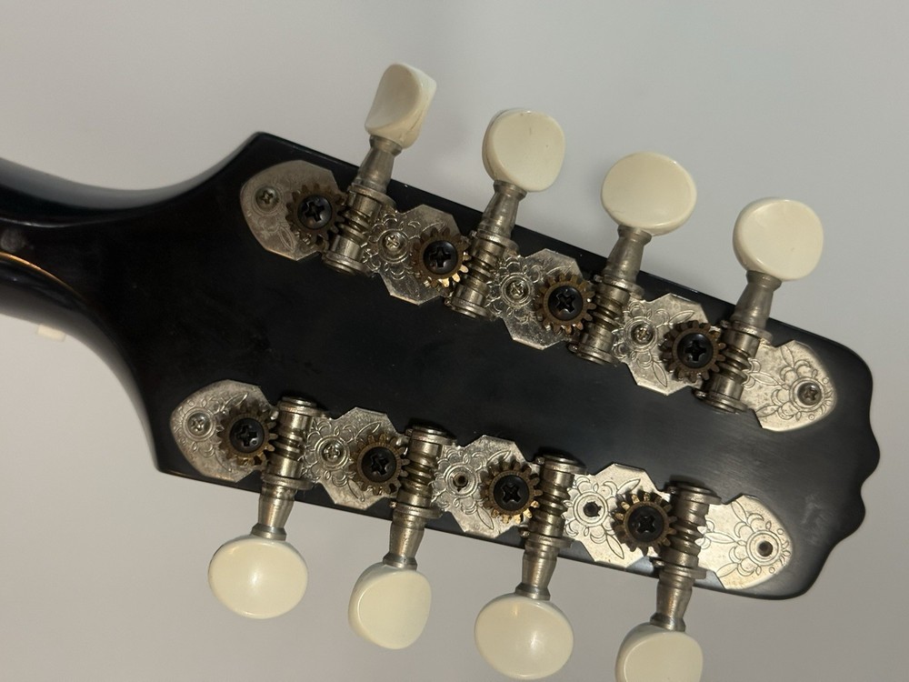 Kentucky KM-150S Mandolin Sunburst with soft case
