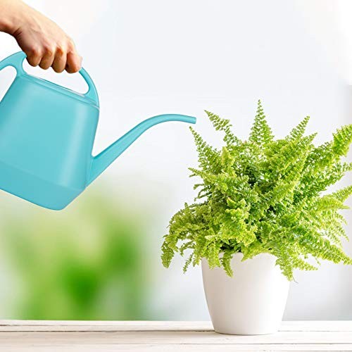 Plastic Watering Can, Bright Blue, 1-Gallon