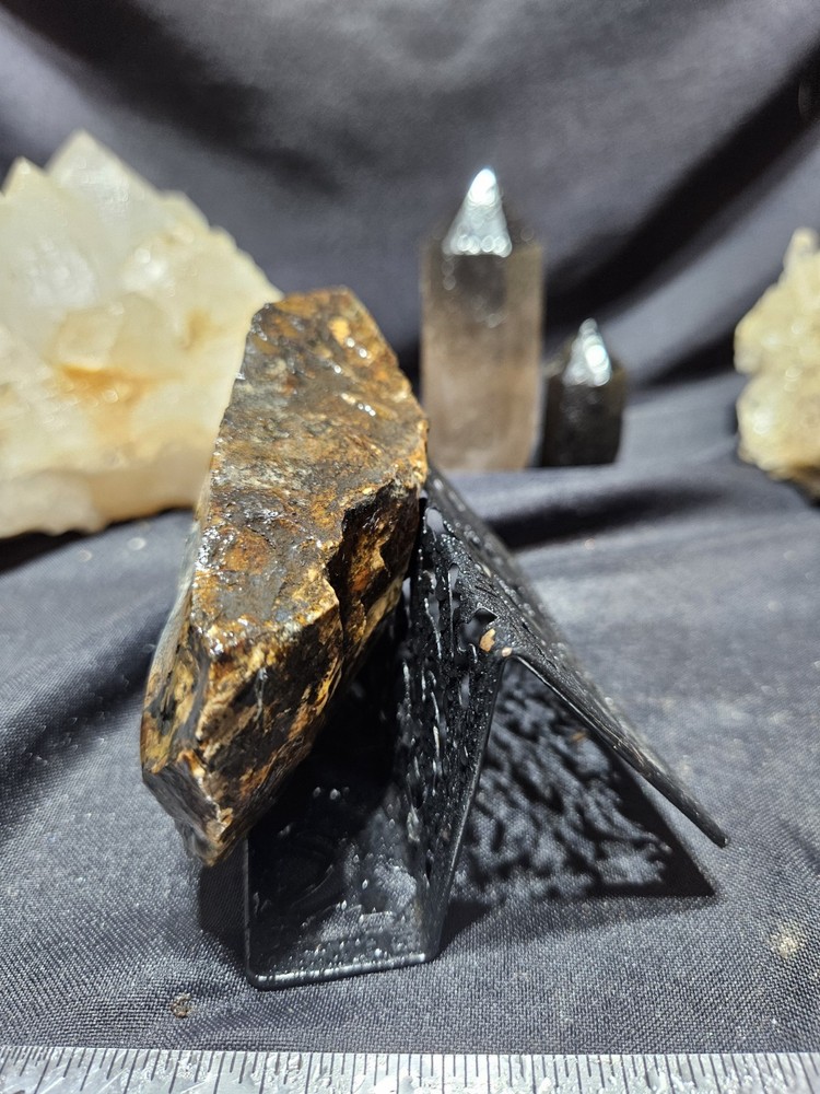 Biggs Jasper Multi Colored w/ Dendric Specimen Natural Form (14oz)
