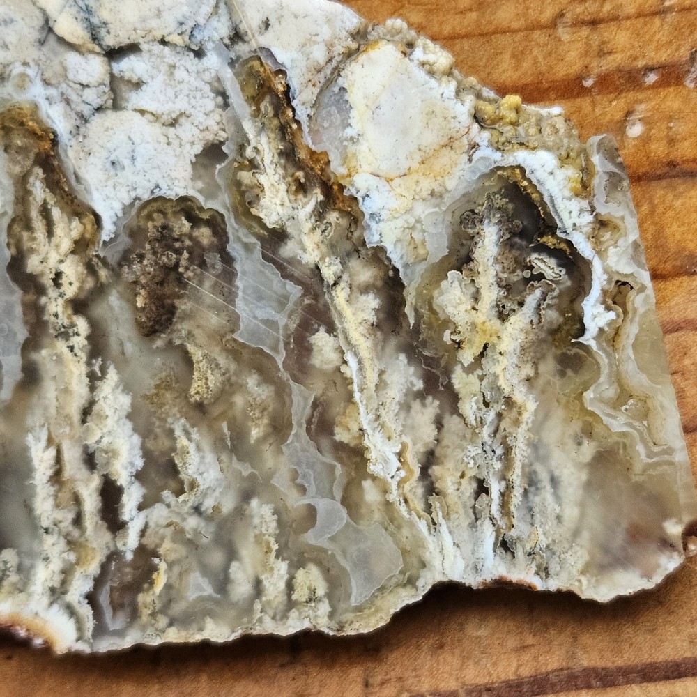 Graveyard Point Plume Agate  Slab Oregon 39 grams