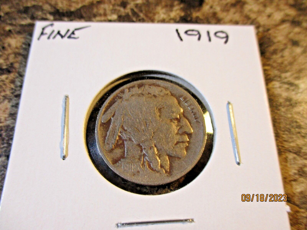 1919 BUFFALO NICKEL FINE    TT