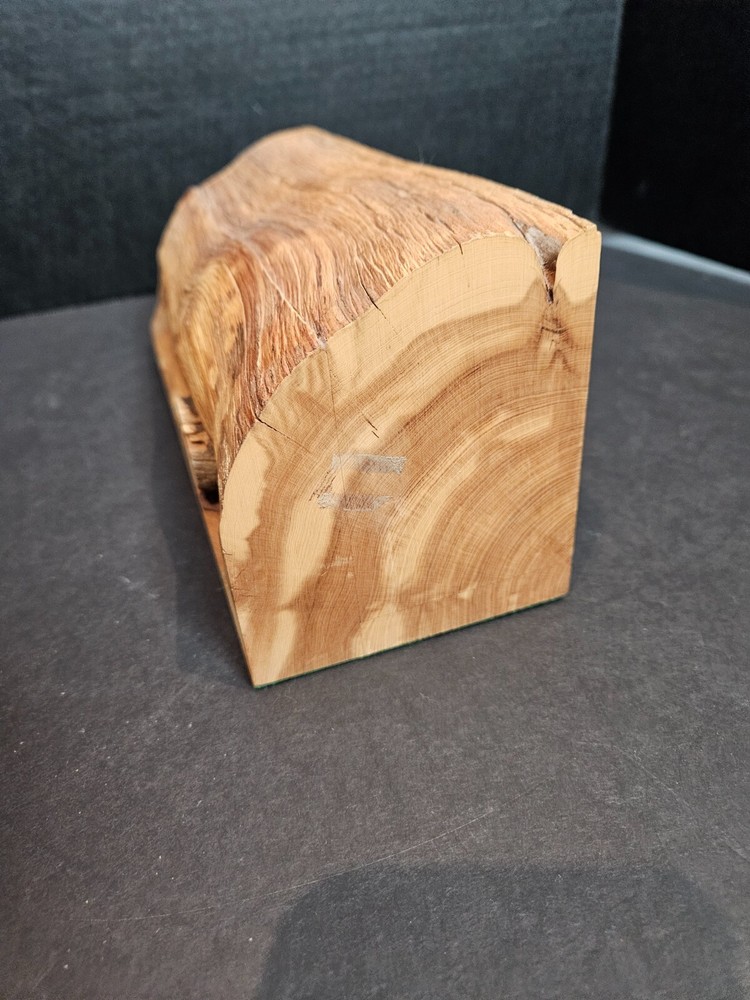 Natural Hollowed Log Hiding Place