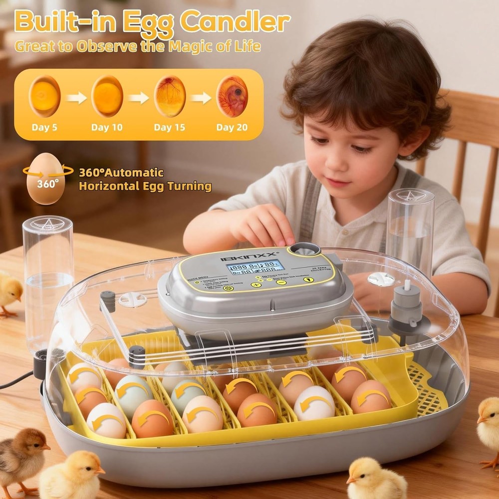 Automatic Egg Incubator - 24 Egg Capacity with Smart Temp Control & 360° View
