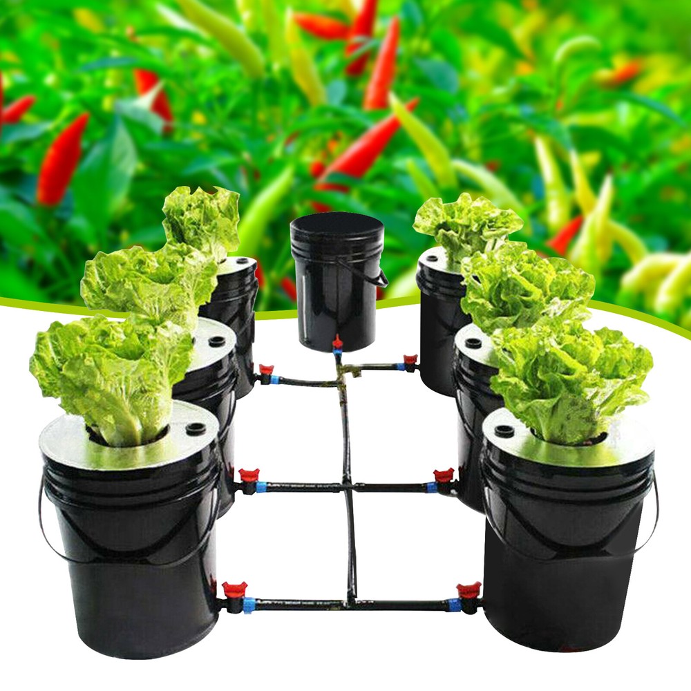 DWC 5 Gal 6 Bucket Hydroponics Growing System Recirculating Growing Set