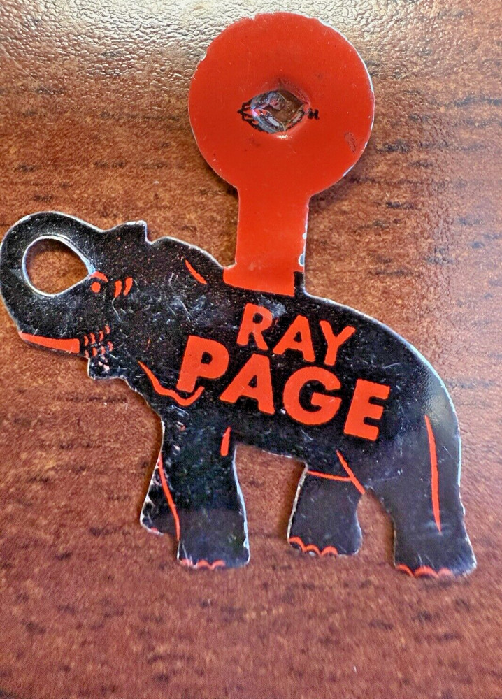 RAY PAGE Illinois Republican Superintendent Campaign Litho Foldover Tab