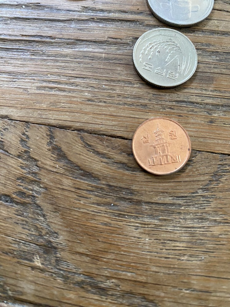 South Korean Won