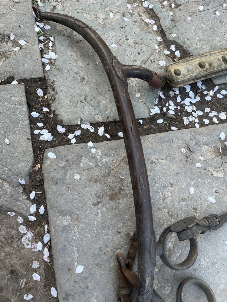 Vintage Horse Bits And Harness