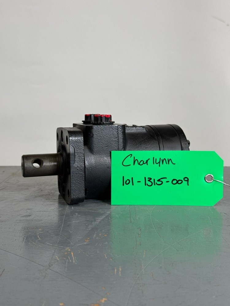 Charlynn 101-1315-009