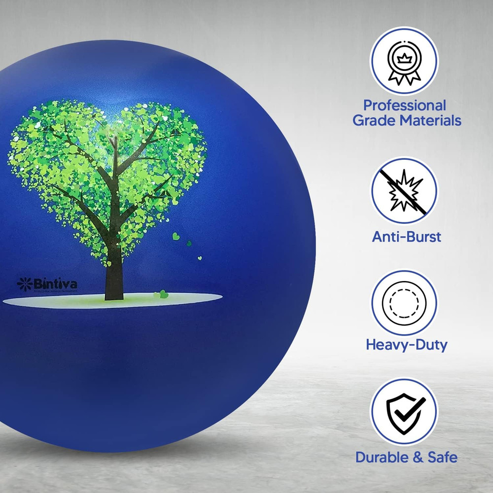 Exercise Ball
