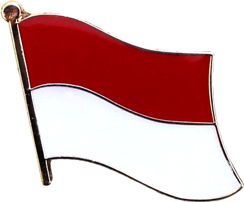 INDONESIA LAPEL FLAG PIN  - NEW