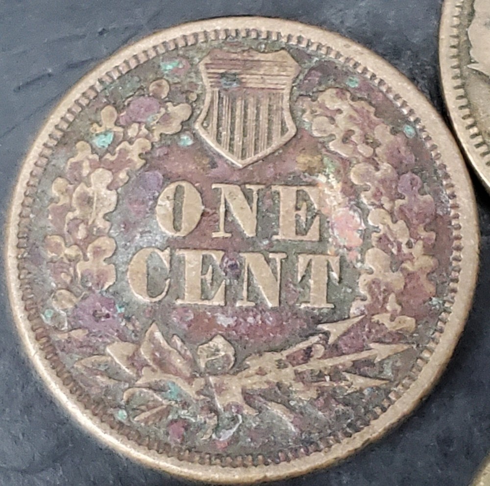 9 Mixed Flying Eagle & Indian Cent Collection