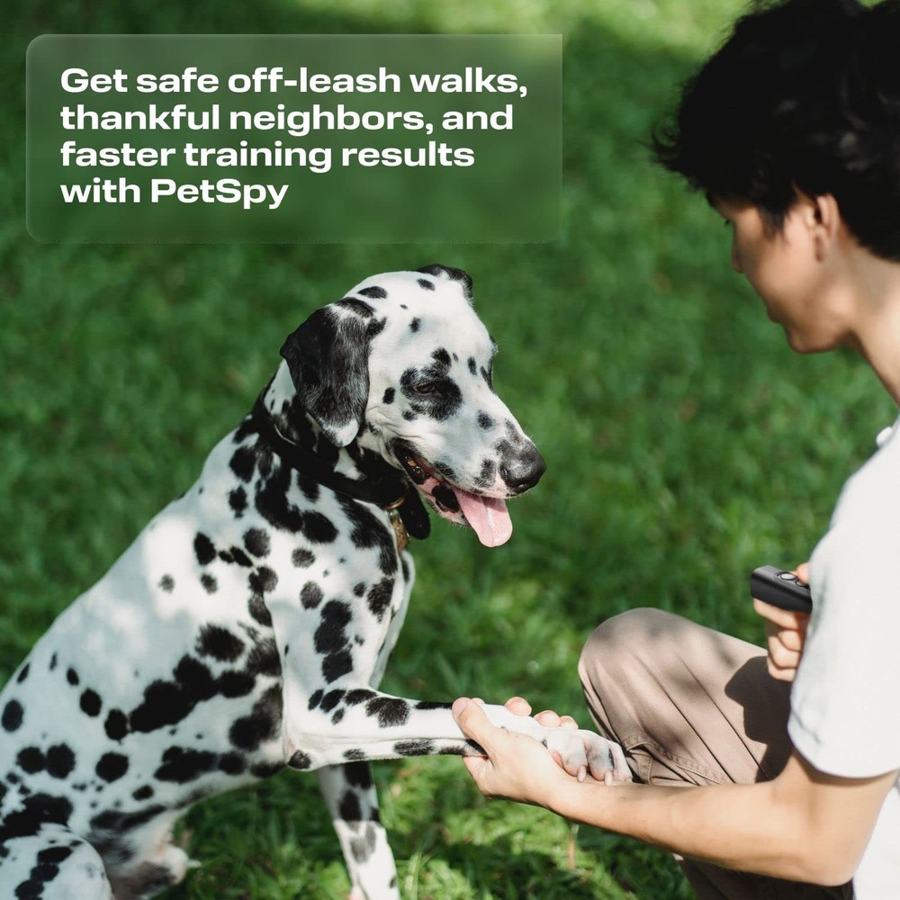 N10 Ultrasonic Dog Bark Deterrent, 2 Frequency Modes, Barking Control Device ...