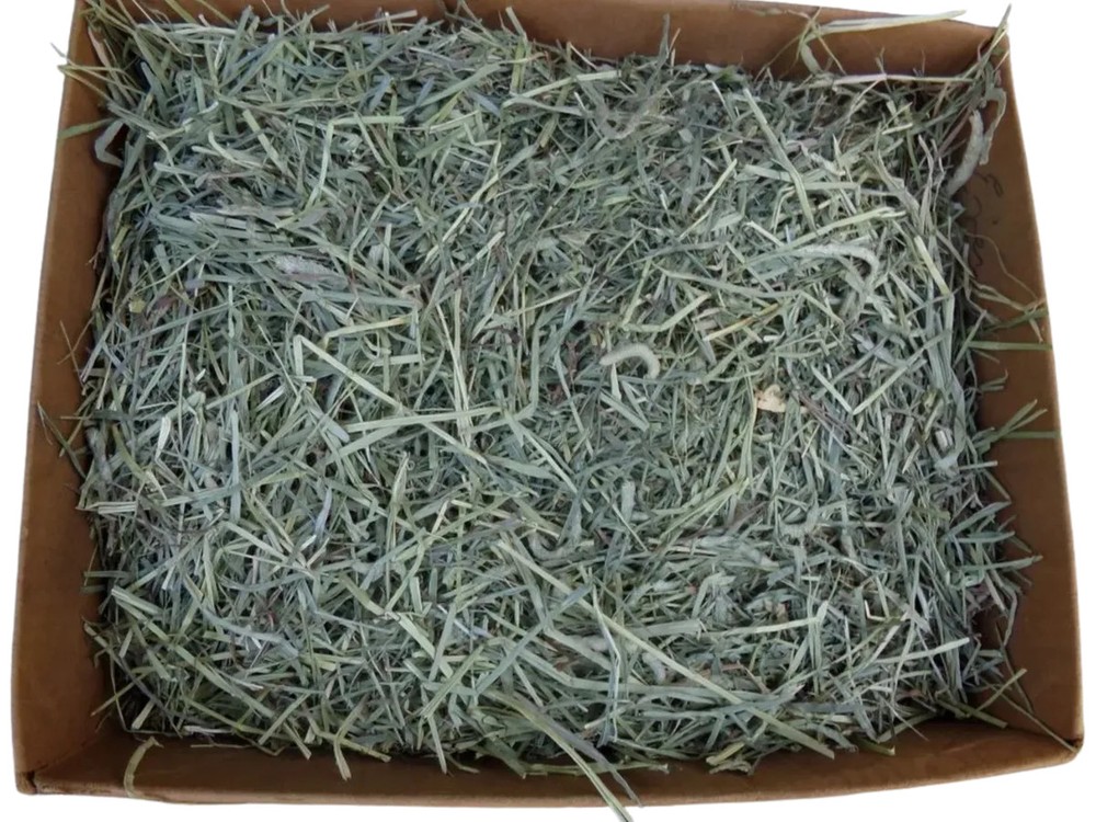 Timothy Hay In A Box 5 lbs.