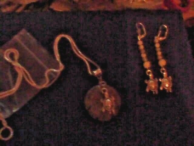 Silver turtles with Jasper