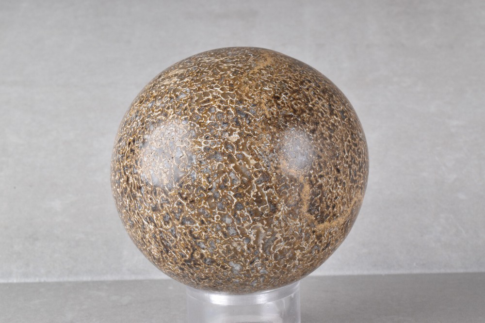 Dinosaur Bone Sphere from Morocco 6.8 cm # 21482