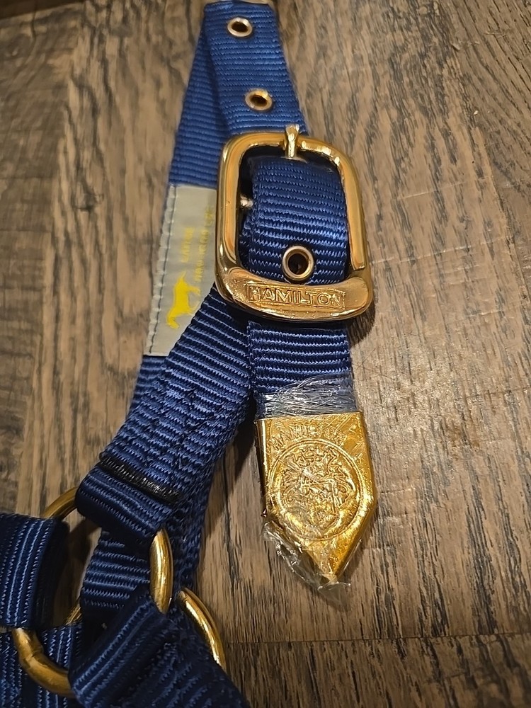 hamilton horse halter