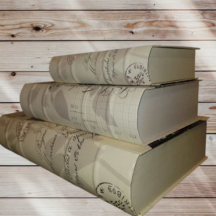 Set of 3 - Paperboard Nesting Book-Shaped Decorative Storage Hiding Boxes