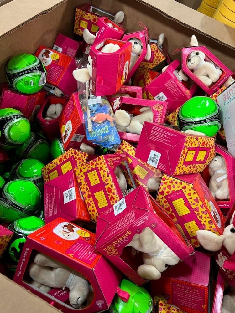 AMAZON - TARGET Mystery Box General Merchandise Liquidations Bundles NEW ITEM
