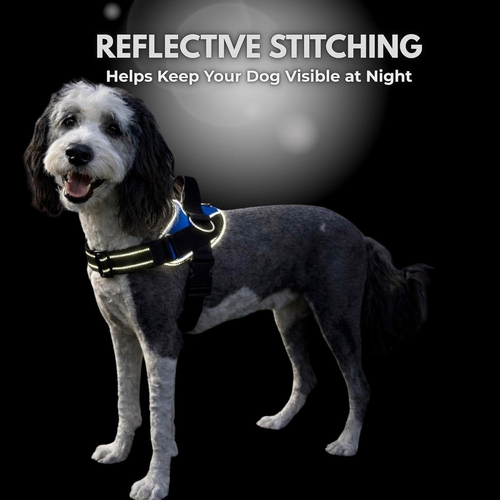 No-Pull Harness for Dogs - Adjustable, Reflective, Medium, Pacific Blue